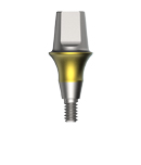 Solid Abutment-Ø6.0-4.0